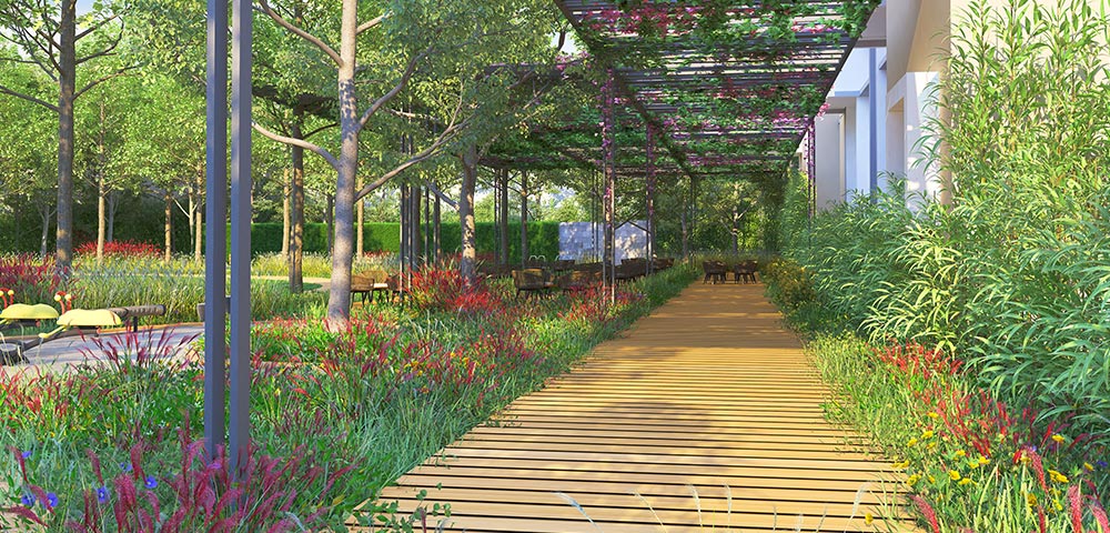 Walking Area